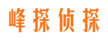 道真婚外情调查